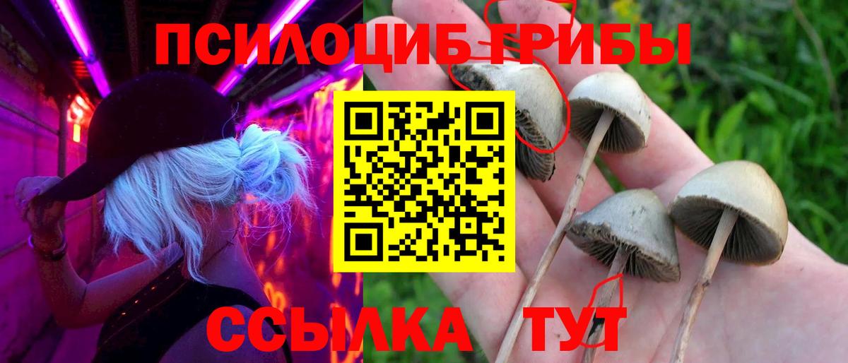 Галлюциногенные грибы Magic Shrooms Воркута