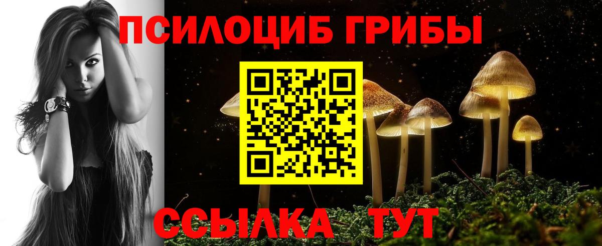 Воркута  Галлюциногенные грибы Psilocybe  Вход с VPN 